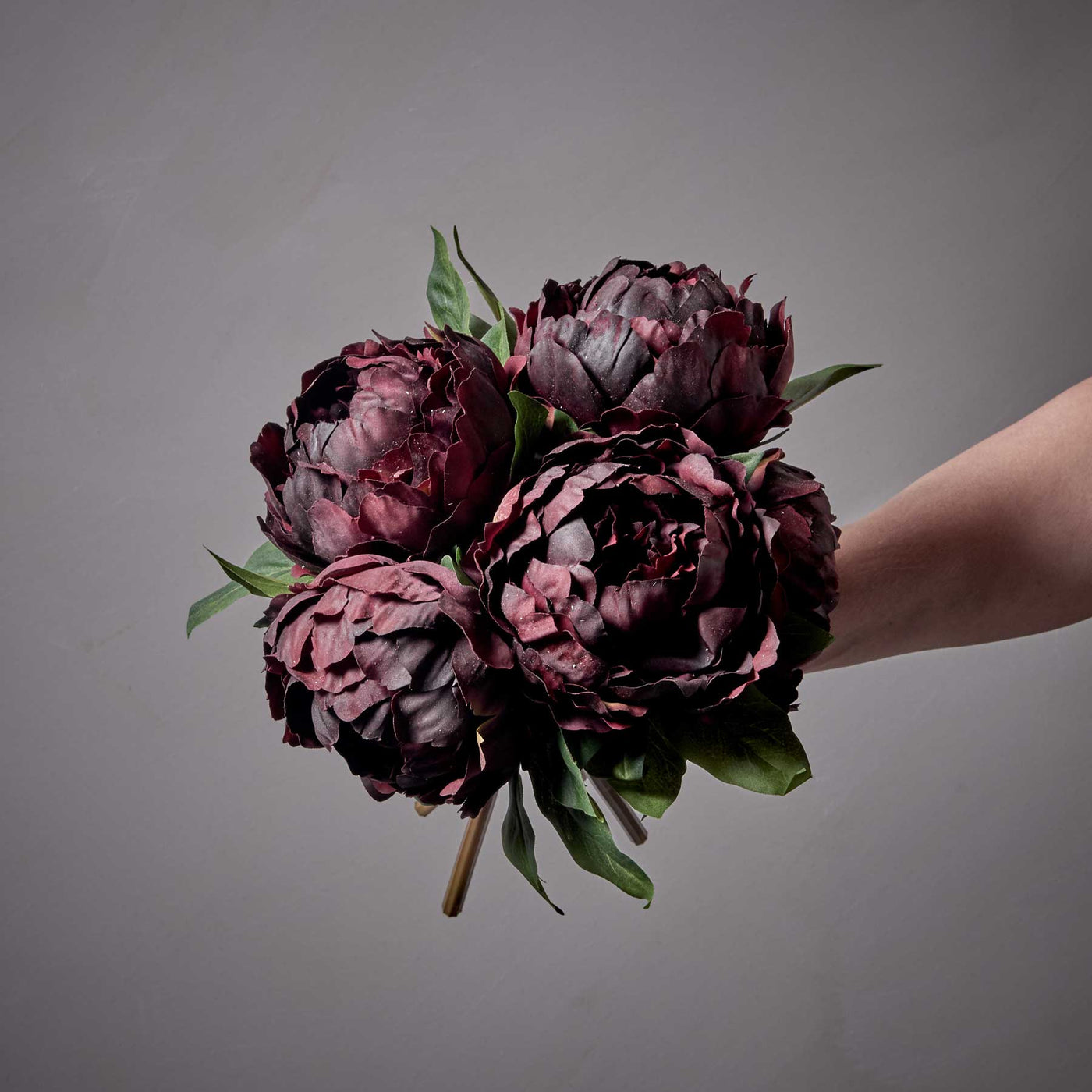 Explore the Fall Collection